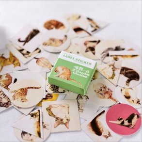 Katte stickers
